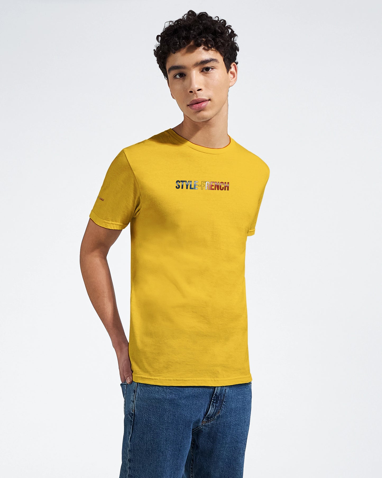 Unisex T-Shirt Pays de la Loire klassischer Rundhalsausschnitt | Gildan® 64000