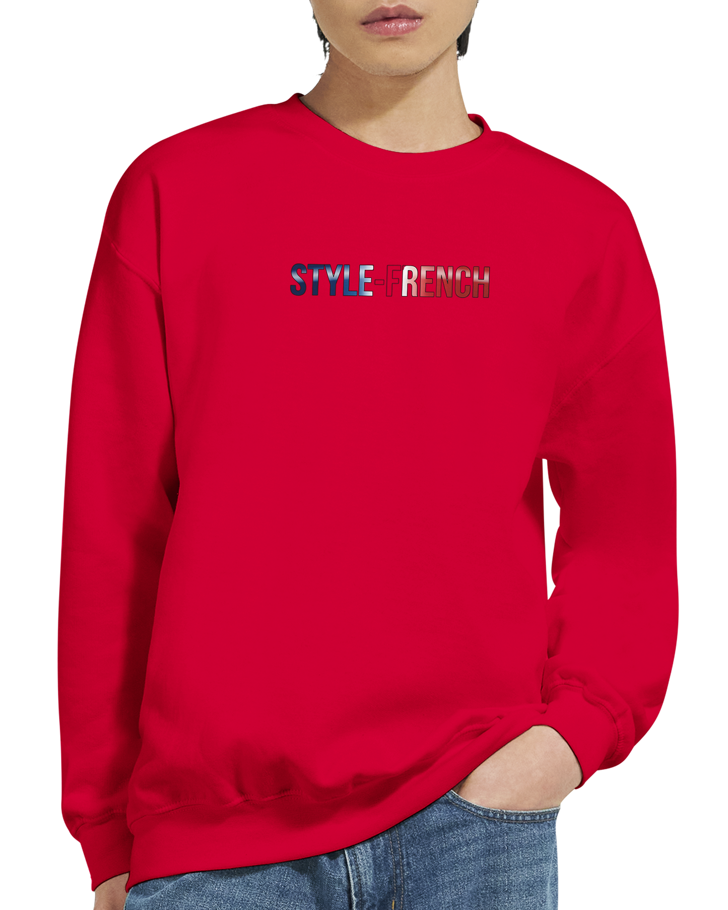 Unisex-Sweatshirt Auvergne-Rhône-Alpes klassisch Rundhals | Gildan® 18000